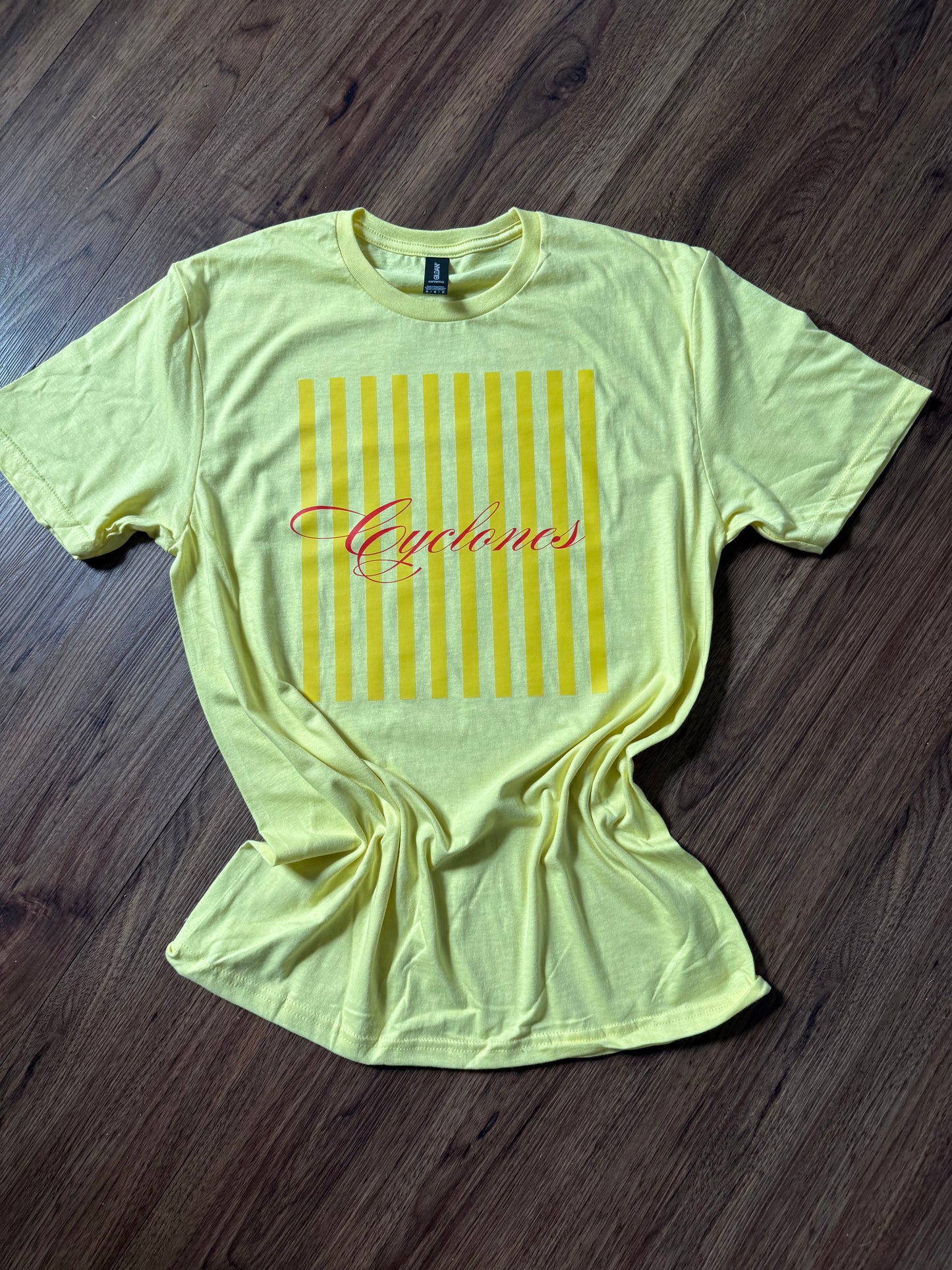 Hawkeye & Cyclone Tee
